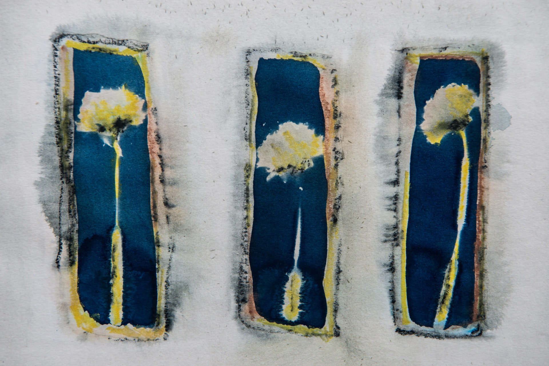 cyantype print three single flowers blue and yellow