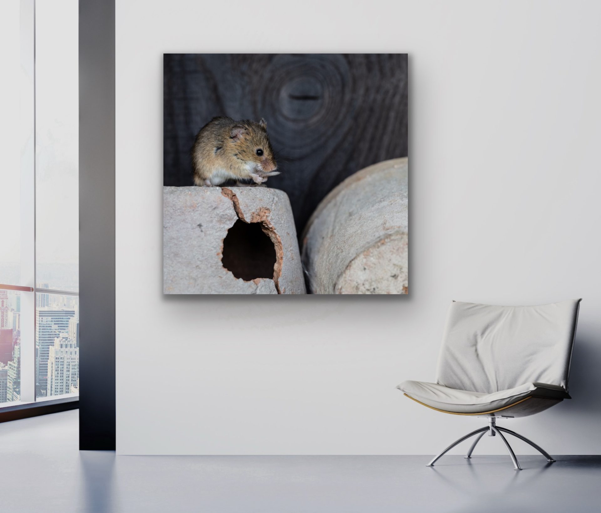 mouse wallart for sale or hire for hotel and commercial office walls UK mouse wallart for sale or hire for hotel and commercial office walls UK