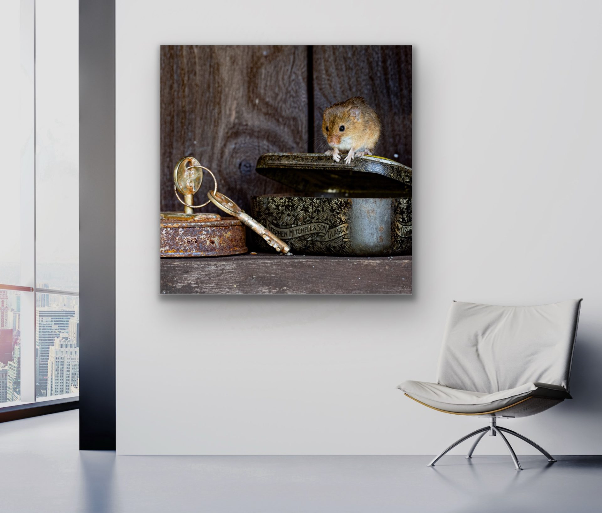 art for sale mice for commercial space hire or purchase UK art for sale mice for commercial space hire or purchase UK