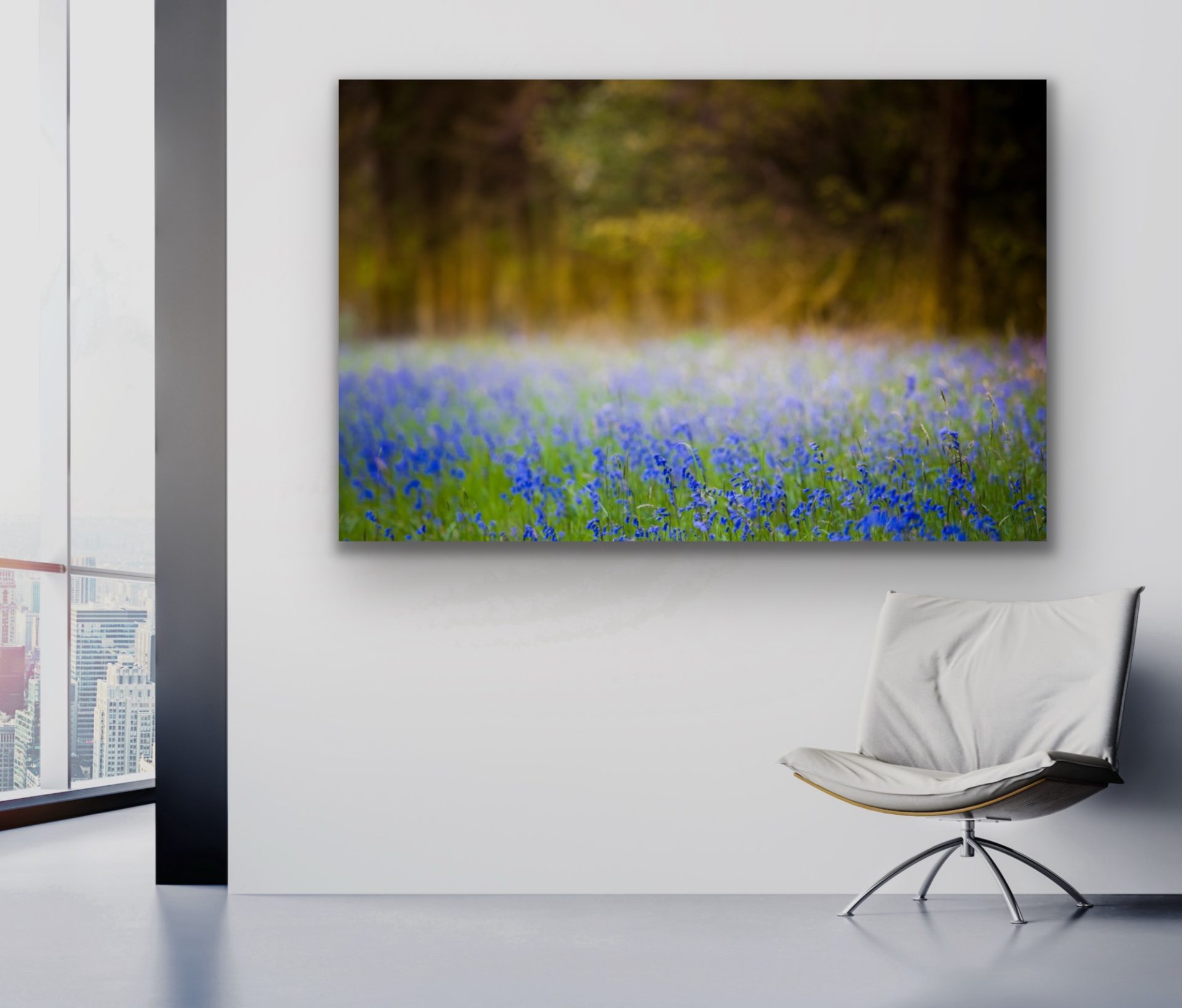bluebell fine art print for sale or hire for hotels or office walls UK bluebell fine art print for sale or hire for hotels or office walls UK
