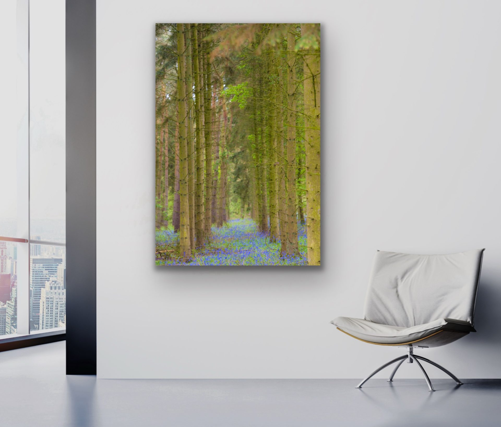 bluebell woods wall art print for sale for hotel or office space bluebell woods wall art print for sale for hotel or office space