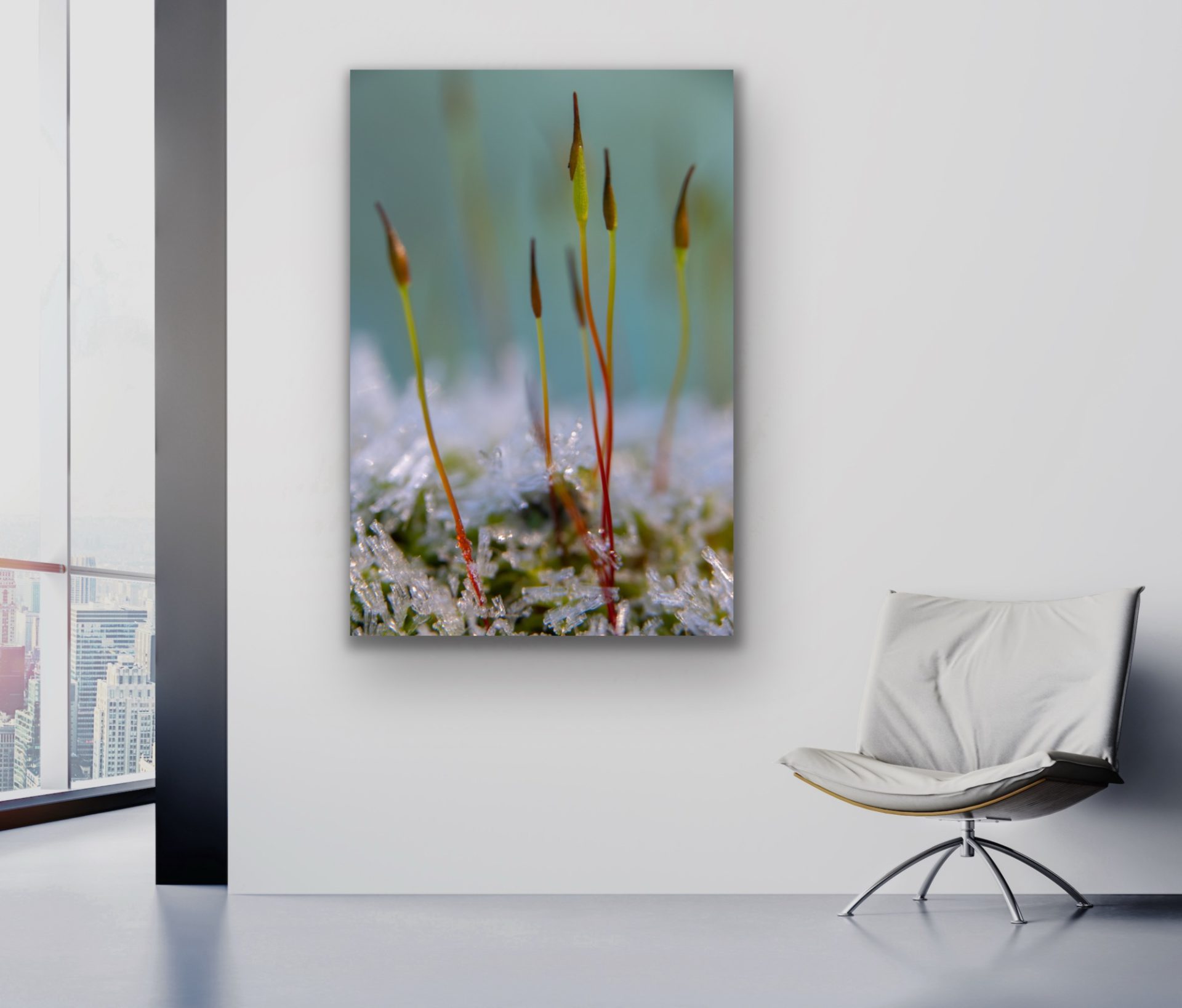 botanical print for sale for workplace walls hire or purchase UK botanical print for sale for workplace walls hire or purchase UK