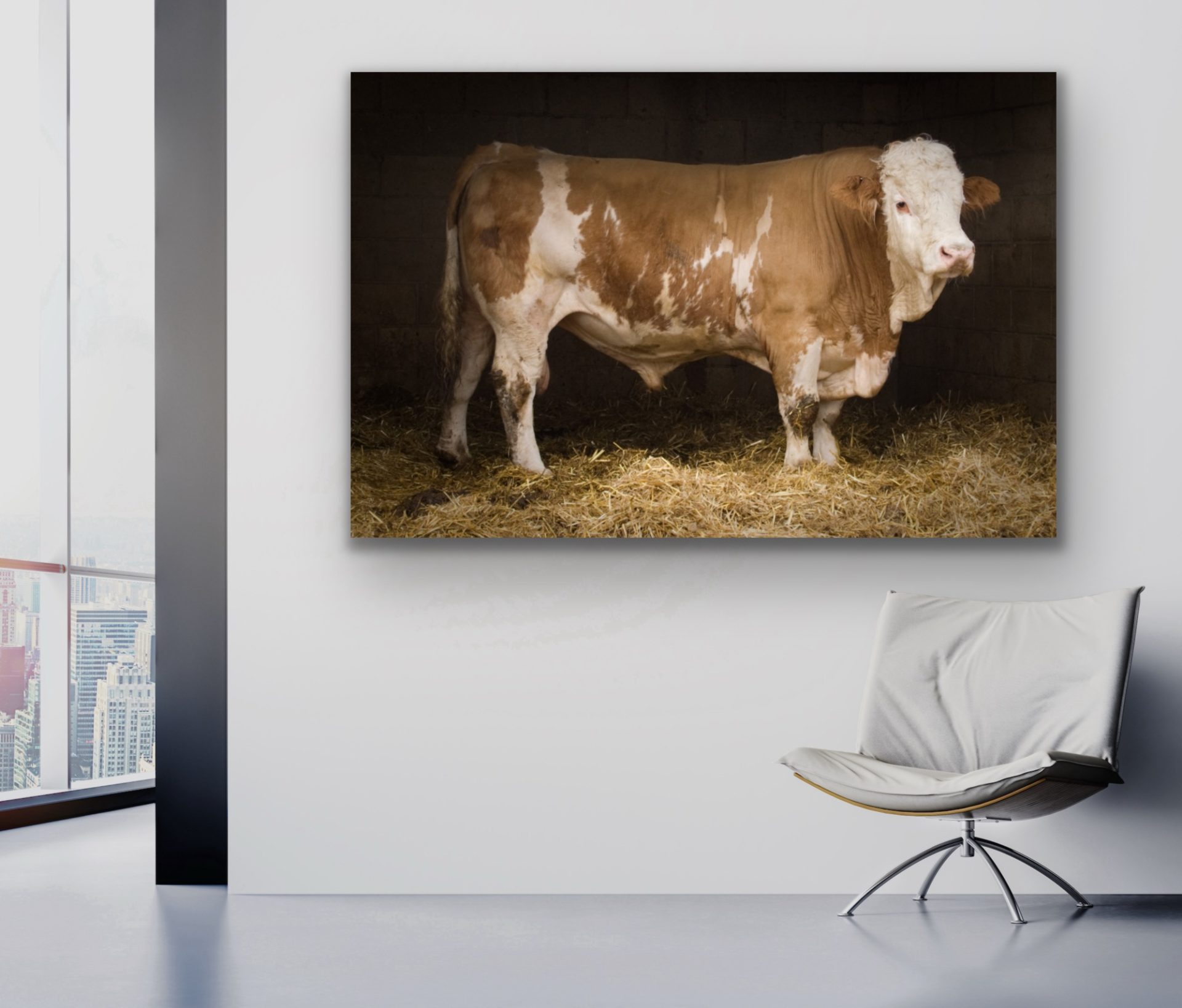 sheep in turnip muddy field wall art print for sale for commercial office