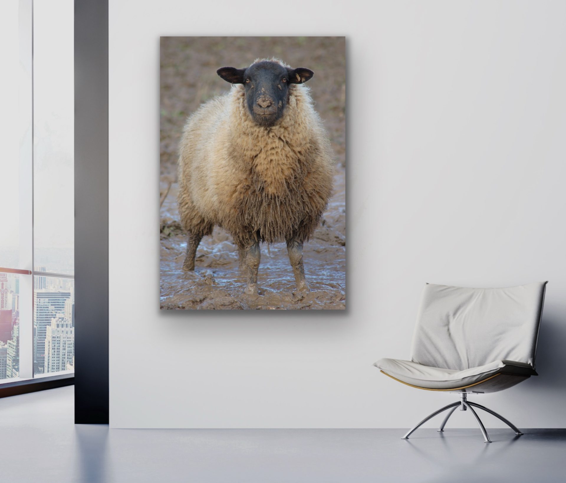 sheep in turnip muddy field wall art print for sale for commercial office sheep in turnip muddy field wall art print for sale for commercial office