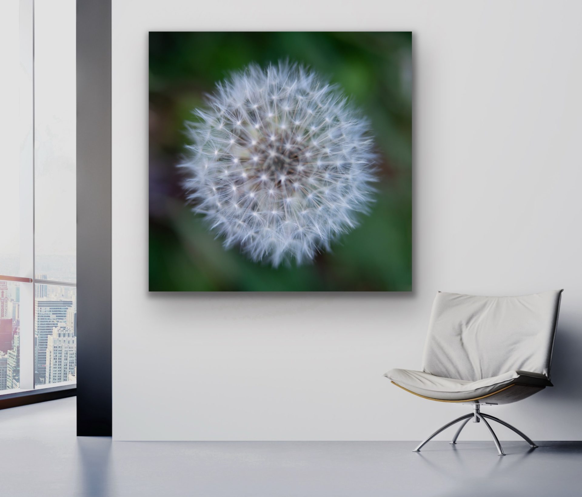 dandilion photograph wall art print for sale in UK dandilion photograph wall art print for sale in UK