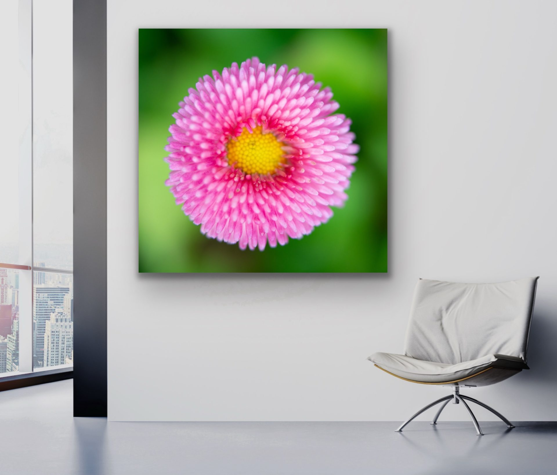 pink flwoer on green background wall art print for sale pink flwoer on green background wall art print for sale